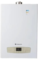 Настенный газовый котел Moguchi GBN 40F