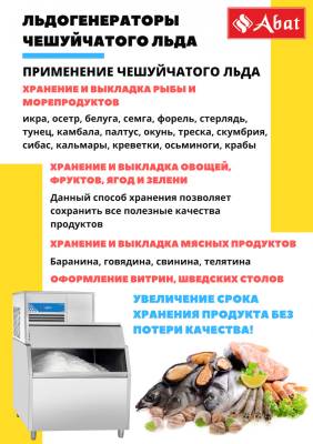 Льдогенератор чешуйчатого льда ЛГ-250Ч-02 (воздушное охлаждение)