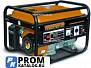 Бензиновый электрогенератор WORKMASTER PG 6500 E1 